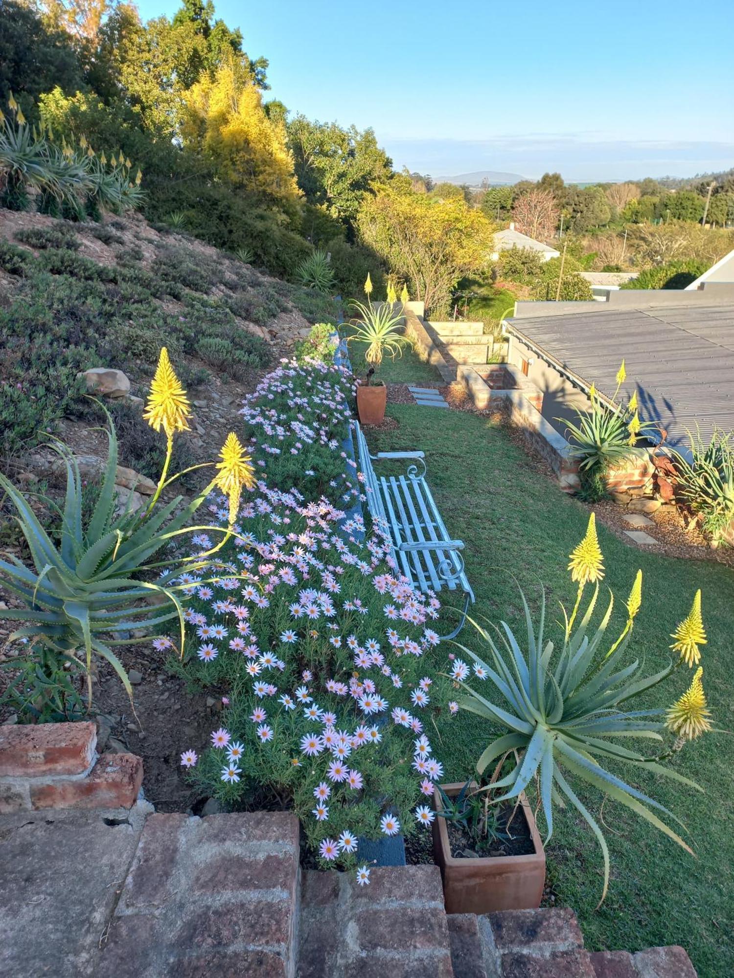 20 On Somerset Swellendam Bagian luar foto